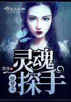 快穿之灵魂碎片