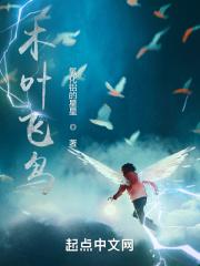 木叶飞鹰是哪部电影