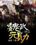 三国之魏羽