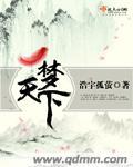 天下一场梦视频