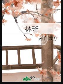 林珩by来自远方讲的什么