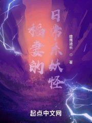 稻妻设定