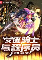 元气骑士程序员房间