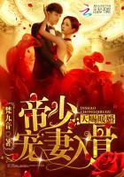 天赐暖婚全本免费