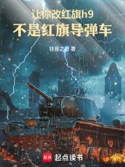 红旗h9改装图片