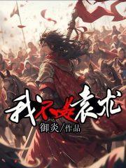 我不是袁术TXT百度