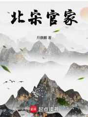 北宋官家月麒麟笔趣阁