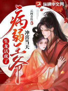 冲喜王妃百度百科