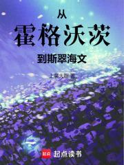 从霍格沃茨到斯翠海文TXT