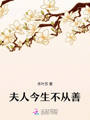 夫人今生不从善免费阅读全文