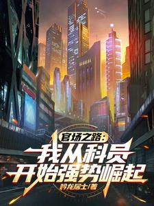 官场升职记免费阅读