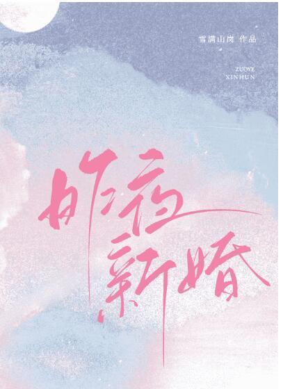 昨夜新婚晋江阅读