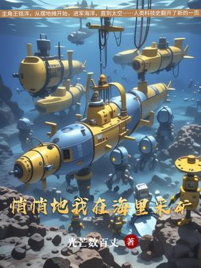 悄悄地我在海里采矿txt