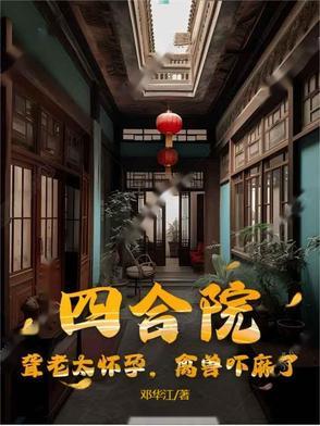 四合院聋老太太的儿子