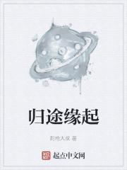 请播放归途