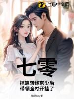 七零携夫带弟录