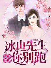 冰山总裁小萌妻免费全文阅读