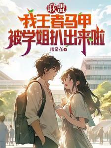 王者里的马甲什么意思