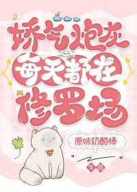 娇气包快穿免费阅读