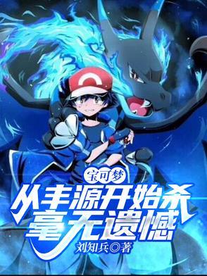 宝可梦丰源剧情