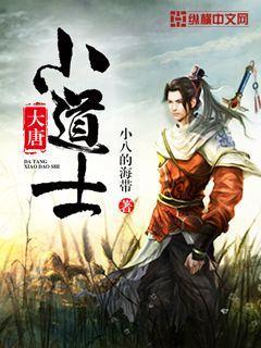 大唐小道士结局