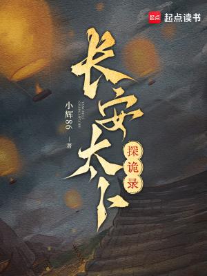 长安探案的电视剧