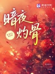 暗夜全文阅读
