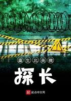 重生美国警探