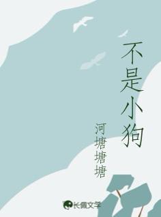 不是小狗的图片