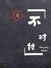 不对付讲的什么
