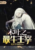 木叶之最强大boss笔趣阁