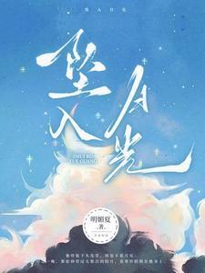 坠入月光赵检察官