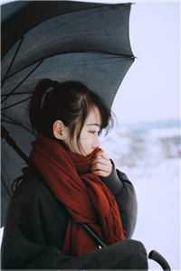 全能超级巨星奶爸txt