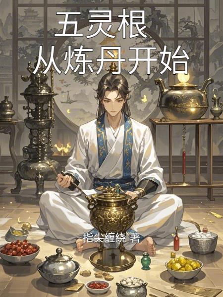 从炼丹开始 翻译