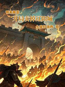 明末风云起免费阅读