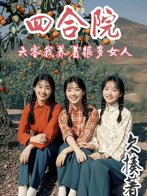 四合院六零我养着很多女人欠揍