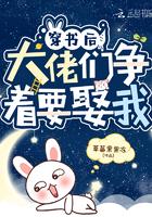 穿书后大佬们争着要娶我 草莓果果冻