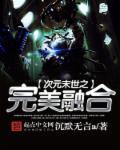 次元末世之完美融合扫书