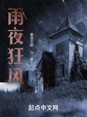 夜晚的狂风暴雨