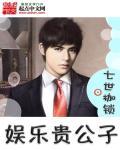 娱乐贵公子txt百度