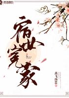 宿世冤家最佳答案一肖