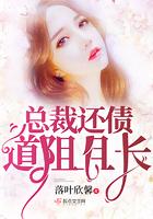 债权不是夫权免费阅读