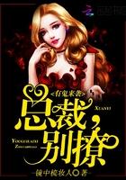 总有鬼怂恿她追总裁txt