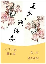 请休妃 书书