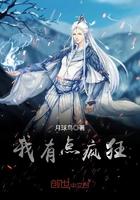 我有一点点疯狂的歌