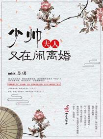 少帅夫人又要和离了