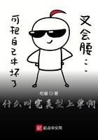 什么是完美型上单