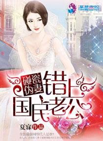 国民老公带回家简介