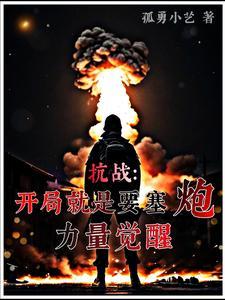 发展重装合成师gl