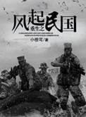 重生之风起民国第二部